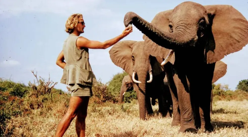 «ضمير الأفيال» يرحل (إنستغرام)