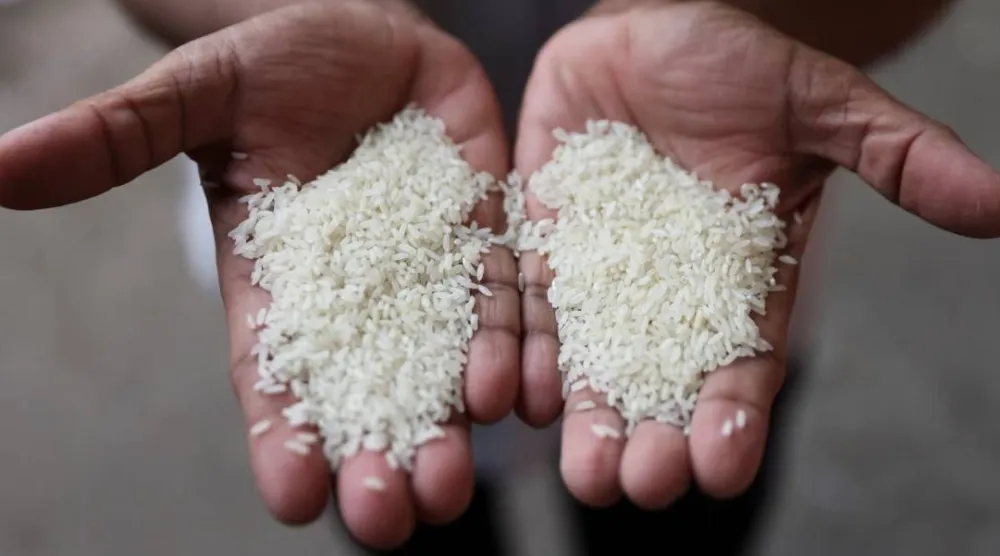 الأرز الأبيض يخضع لعمليات طحن وتلميع إضافية (رويترز)
