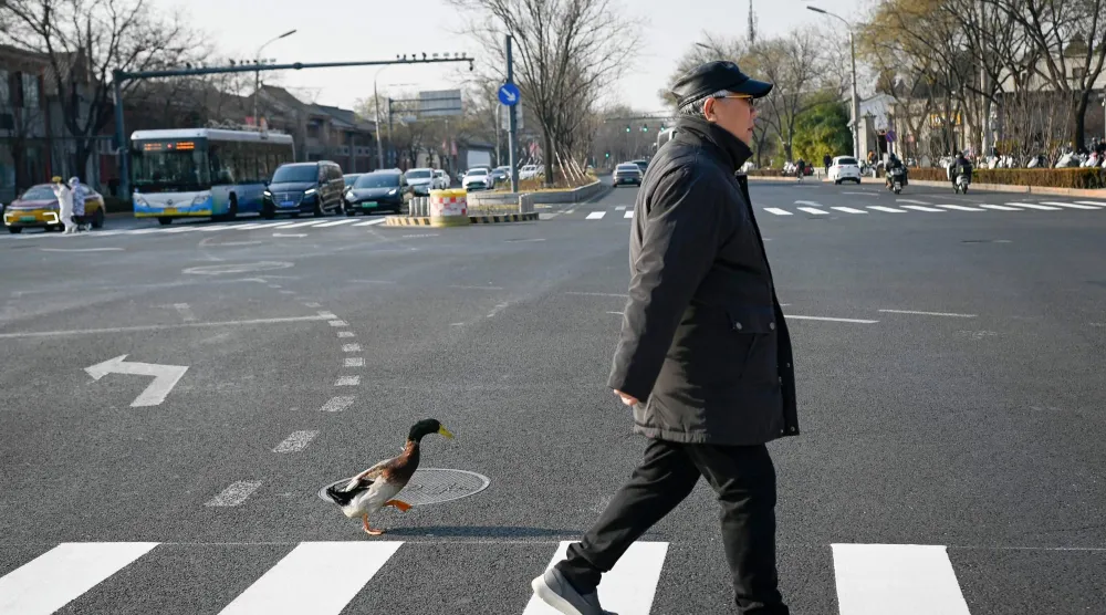 أحد المشاة  يعبر الطريق في وسط العاصمة الصينية بكين (أ.ف.ب)