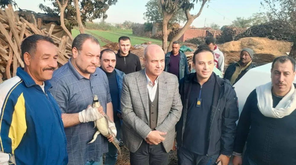 لجنة الإنقاذ بعد اصطياد التمساح بالشرقية (محافظة الشرقية)