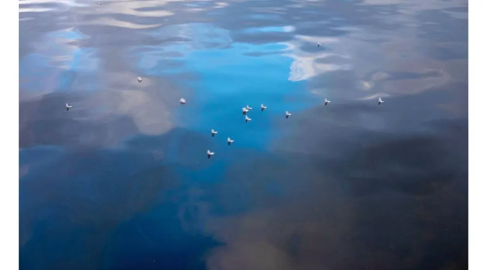 طبقات من الأزرق تترك للعين أن تُكمل الحكاية (فاديا أحمد)