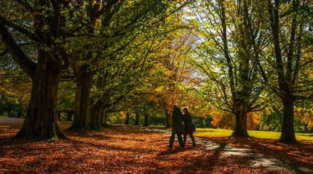 ممارسة النشاط البدني وفق أي نمط يفضّلونه (أ.ب)