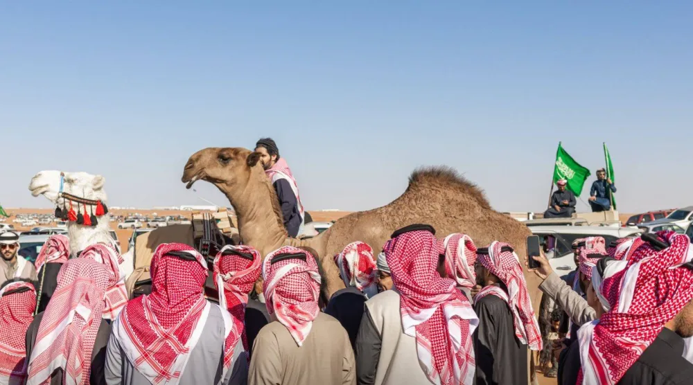 أعلنت لجنة التحكيم النهائي بمهرجان الملك عبد العزيز للإبل نتائج الفائزين في اليوم السابع عشر (واس)