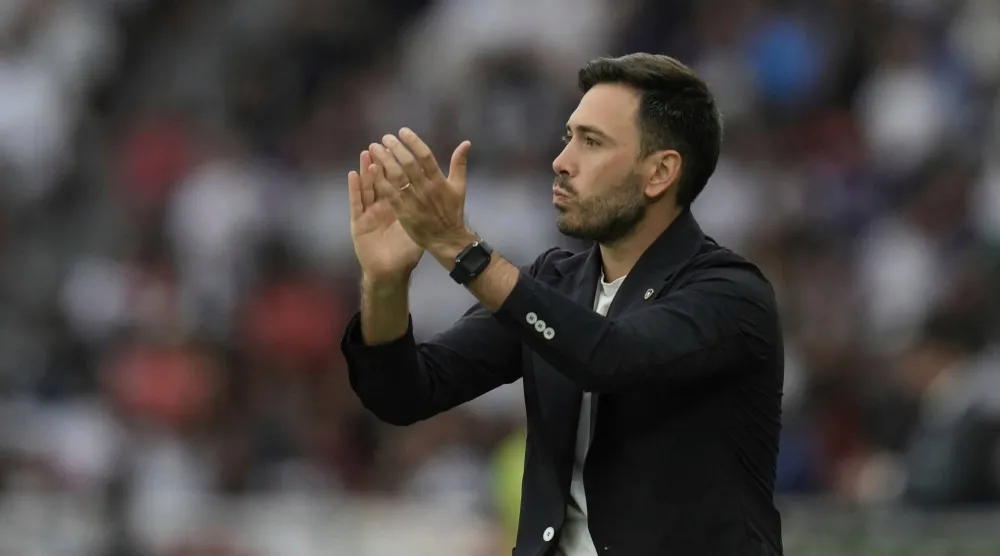 ديفيد أنشيلوتي (أ.ب)