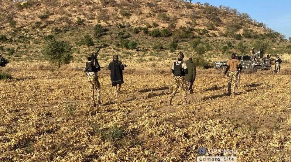 الجيش النيجيري خلال تمشيط منطقة تنشط فيها مجموعات إرهابية (إعلام محلي)