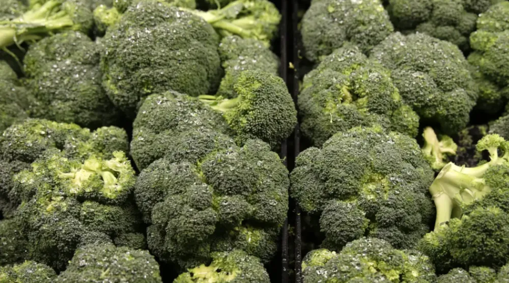 تناول البروكلي يُمكن أن يُساعد في تقليل خطر الإصابة بألزهايمر (رويترز)
