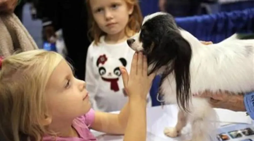 الأطفال الذين ينشأون مع الكلاب أقل عرضة للإصابة بالربو (رويترز)
