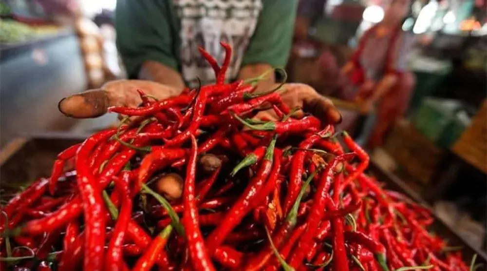 تناول كميات كبيرة من الفلفل الحار قد يؤدي إلى تهيج البروستاتا (رويترز)