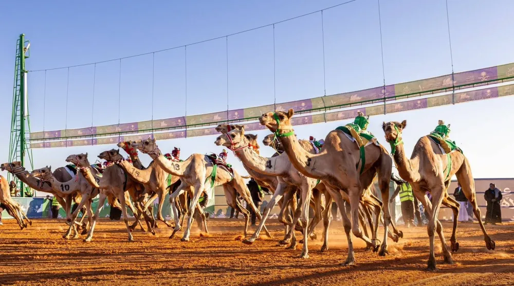 أعلنت اللجنة المنظمة لجائزة الملك عبد العزيز لسباقات الهجن أسماء الفائزين بالمراكز الأولى في فئة اللقايا (نادي الإبل)