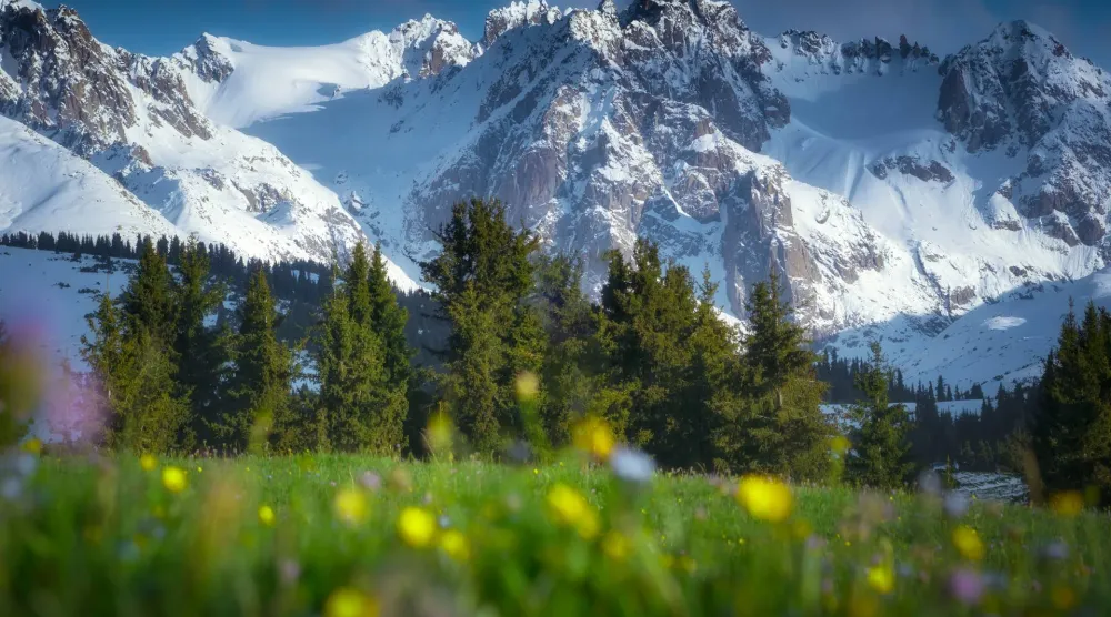 جبال تحتضن تنوعاً نباتياً ناشئاً بفعل الارتفاع ودرجات الحرارة المنخفضة (غيتي)