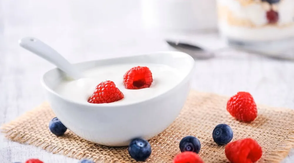 الزبادي يعيد توازن البكتيريا النافعة في الجهاز الهضمي (جامعة هارفارد)