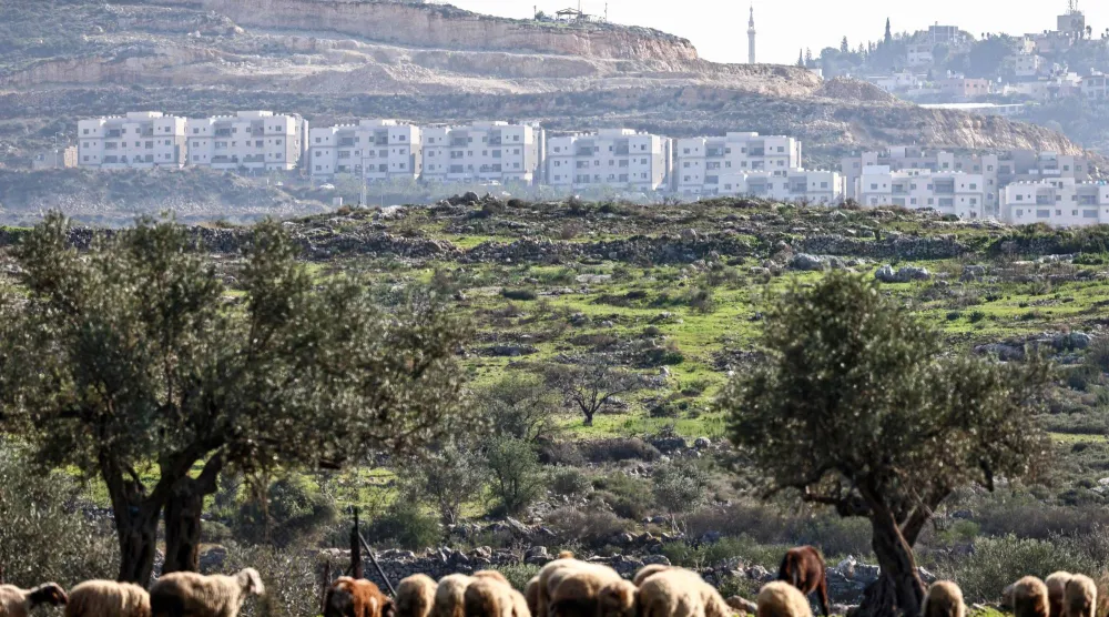  This picture shows sheep grazing on a field in Kafr al-Labad with the Israeli settlement of Avnei Hefetz seen in the background, near the city of Tulkarem in the occupied West Bank on December 18, 2025. (AFP) 