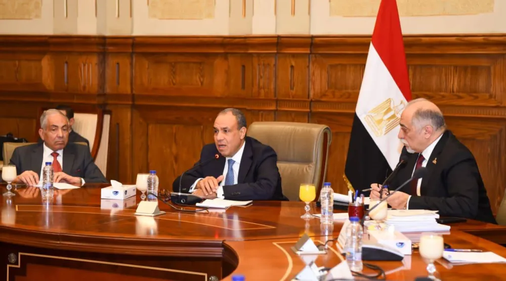 وزير الخارجية المصري بدر عبد العاطي خلال لقائه عدداً من أعضاء مجلس الشيوخ المصري الخميس (الخارجية المصرية)