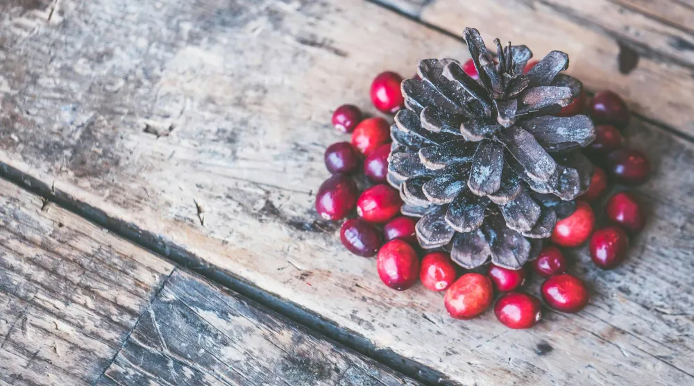 التوت البري يُدرس لدوره في الوقاية من السرطان (بيكسلز)