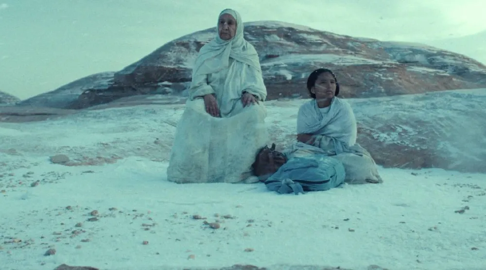 من «هجرة» لشهد أمين (بيت أمين برودكشنز)