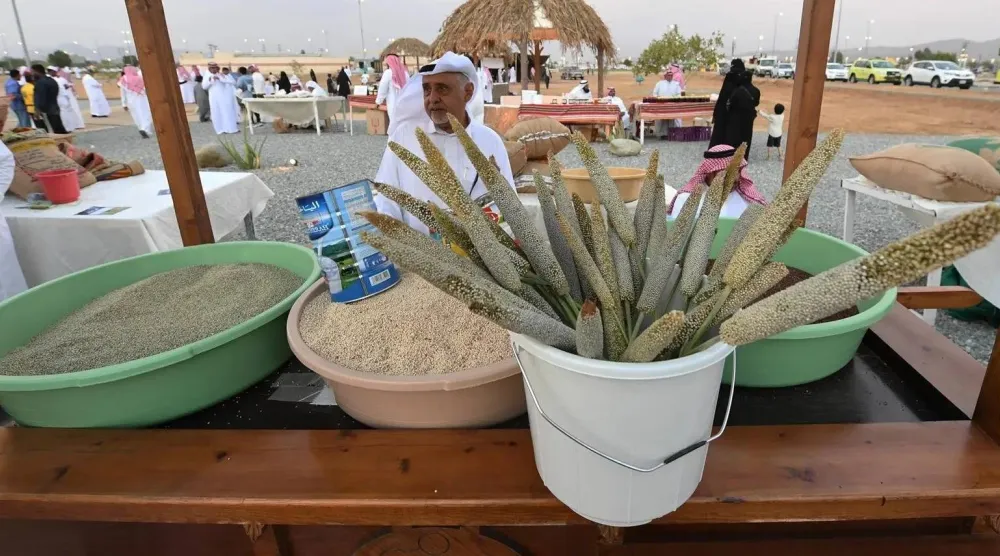 بيع محصول الدخن في جنوب السعودية (واس)