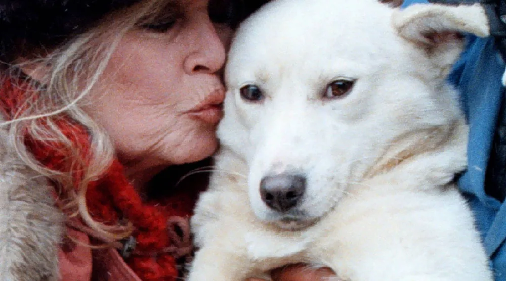 صورة أرشيفية لباردو تقبّل كلبة ضالة خلال زيارتها لمأوى كلاب في بوخارست