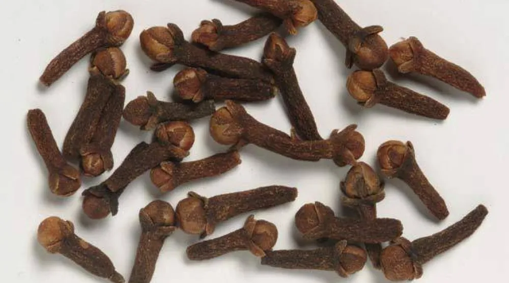 حبات من القرنفل (موقع قاعدة بيانات نباتات العالم)