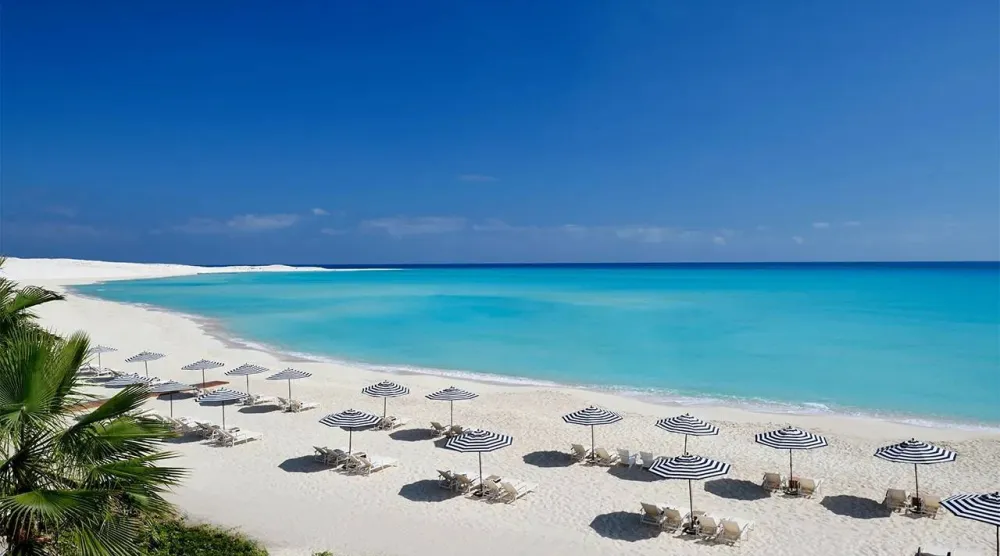 تعهدت قطر باستثمارات تصل إلى 7.⁠5 مليار دولار في مصر... وصفقة علم الروم الأولى في الاتفاقية (إكس)