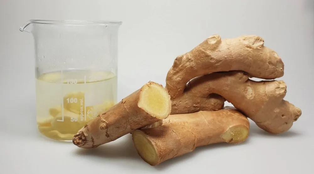 الزنجبيل يحتوي على مركب طبيعي يقلل التهاب القولون (جامعة ميونيخ التقنية)