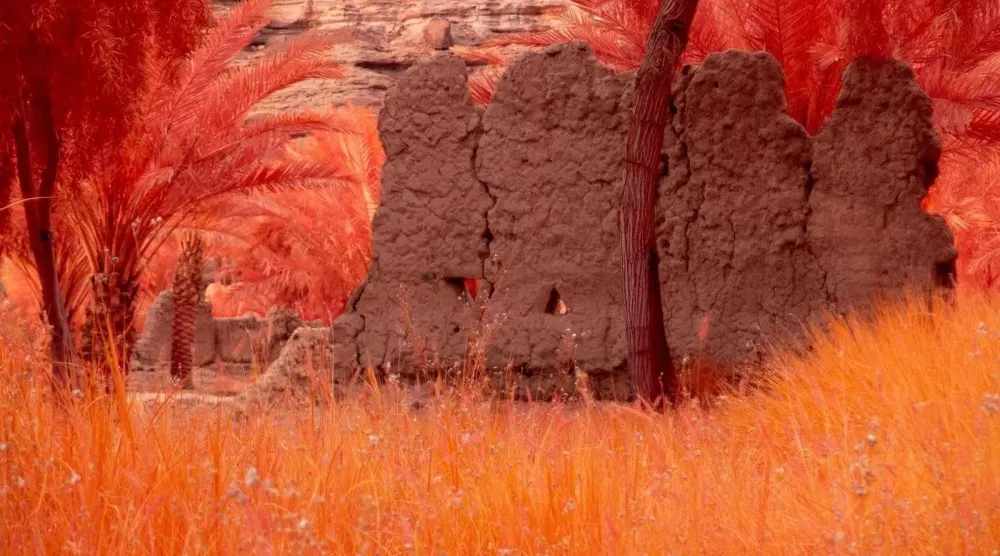 The exhibition will feature more than 80 significant artworks by artists from Saudi Arabia, the Middle East and North Africa, and around the world. (SPA)