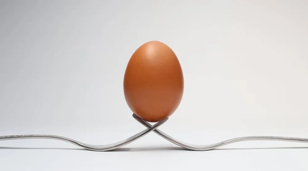 الاختيار بين البيض الكامل وبياض البيض قد يكون مربكاً (بيكسلز)