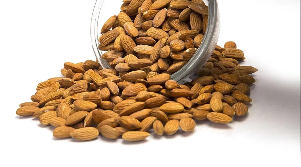 الحصة الواحدة من اللوز (نحو 30 غراماً) توفّر بروتيناً مهماً لبناء الجسم وأليافاً تساعد على تحسين الهضم وخفض الكوليسترول (بيكسباي)