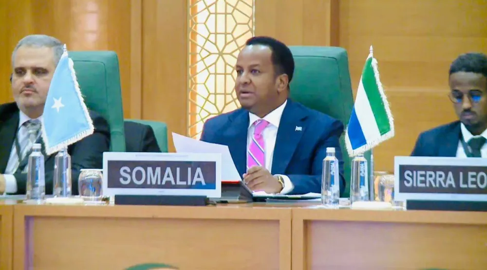 وزير الخارجية الصومالي عبد السلام علي (الخارجية الصومالية)