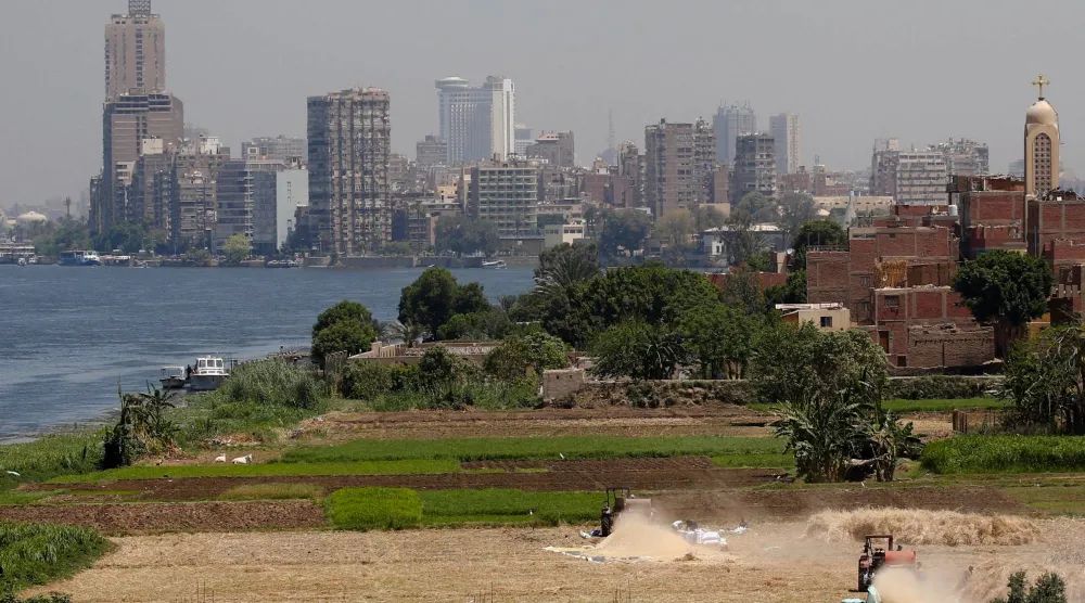 مزارعون يحصدون محصول القمح على أرض زراعية بجزيرة في نهر النيل بالقرب من العاصمة المصرية القاهرة (رويترز)