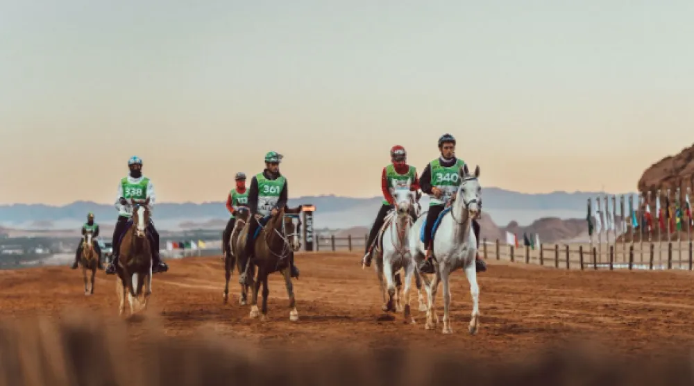 البطولة تستقطب نخبة فرسان العالم وأمهر الخيول الأصيلة (لحظات العلا)