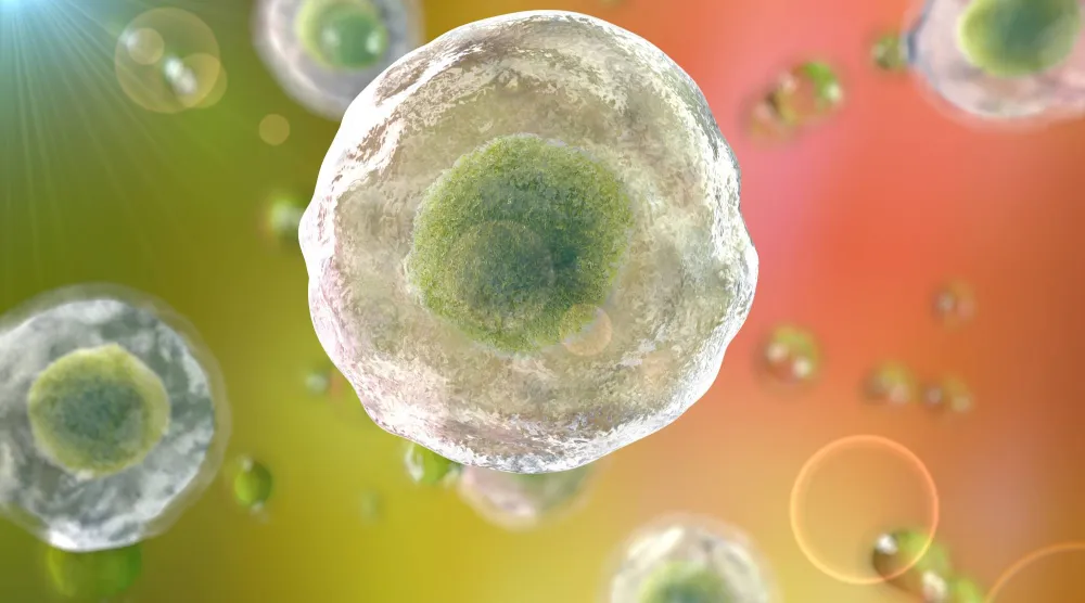 شكل تصويري للخلايا البشرية الحية