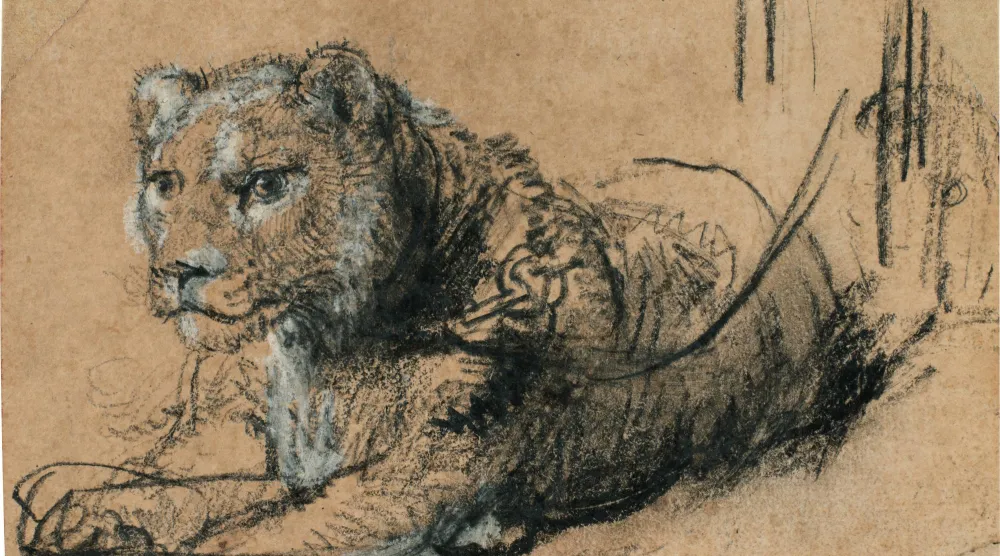 لوحة «شبل صغير يستريح» لرمبرانت (سوذبيز)