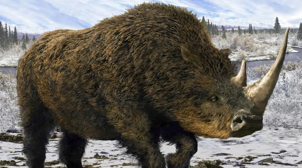 البرد حفظ ما عجز الزمن عن محوه (غيتي)