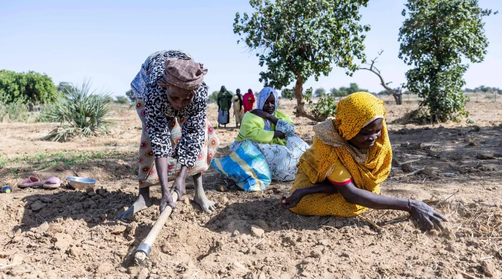 لاجئون سودانيون يعملون في مزرعة مجتمعية بالقرب من مخيم فرشانا (أ.ف.ب)