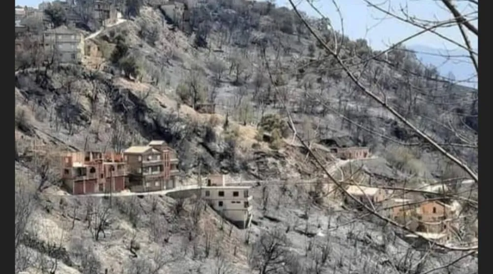 بلدة بمنطقة القبائل بعد إخماد النيران عام 2021 (حسابات ناشطين بالإعلام الاجتماعي)