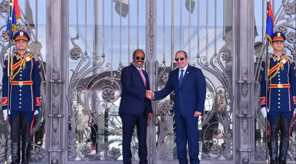 السيسي يصافح نظيره الصومالي خلال لقاء بمدينة العليمن في يوليو الماضي (الرئاسة المصرية)