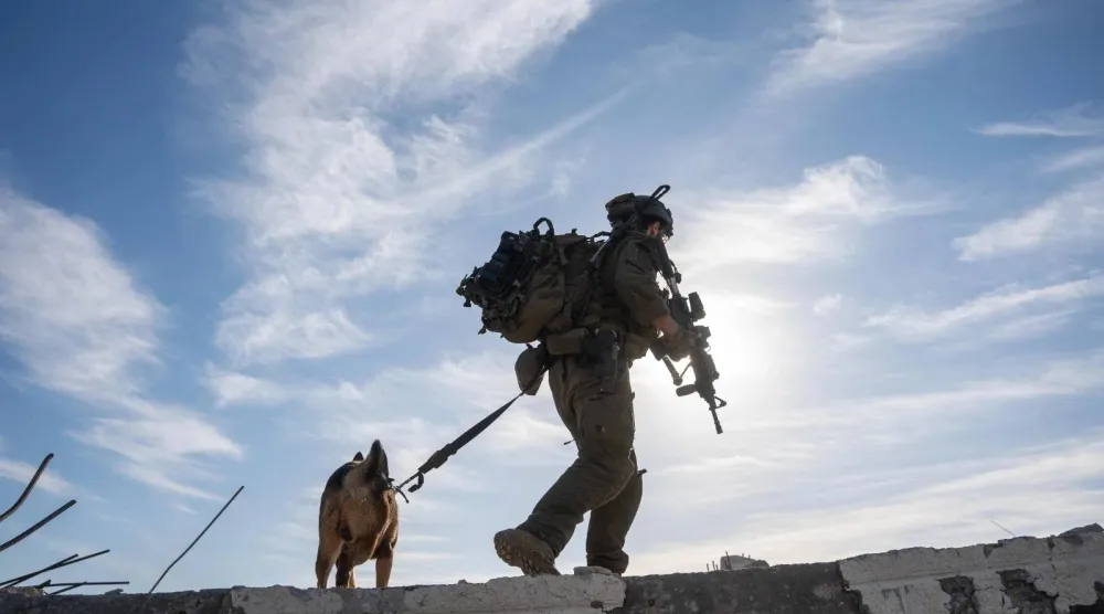 جندي إسرائيلي ومعه أحد الكلاب المدرَّبة خلف الخط الأصفر بقطاع غزة (الجيش الإسرائيلي)