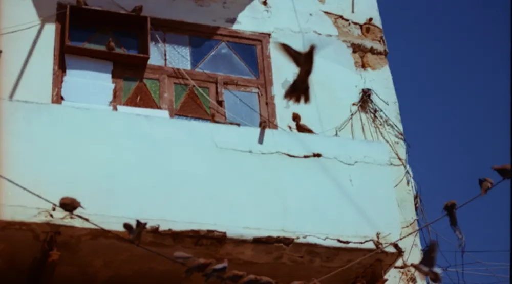 ما يبدو عادياً يخفي جهداً يومياً للاستمرار (تارا الخازن)