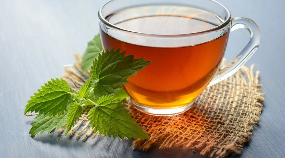 أوراق عشبة القراص استُخدمت في الطب التقليدي لعلاج الإكزيما وآلام المفاصل وأوراقها غنية بالألياف والمعادن والفيتامينات ومضادات الأكسدة (بيكسباي)