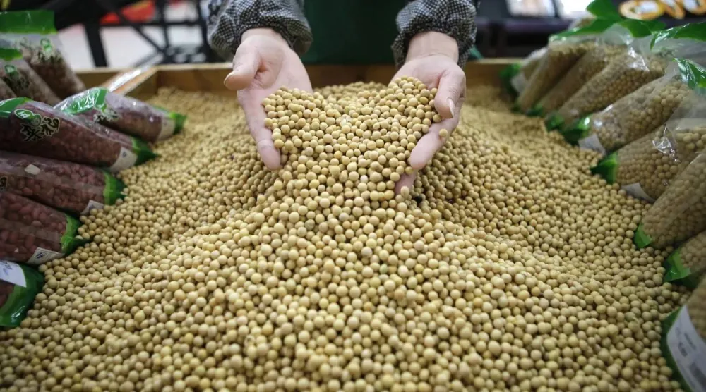 البقوليات تلعب دوراً في تعزيز صحة الدماغ والمزاج (رويترز)