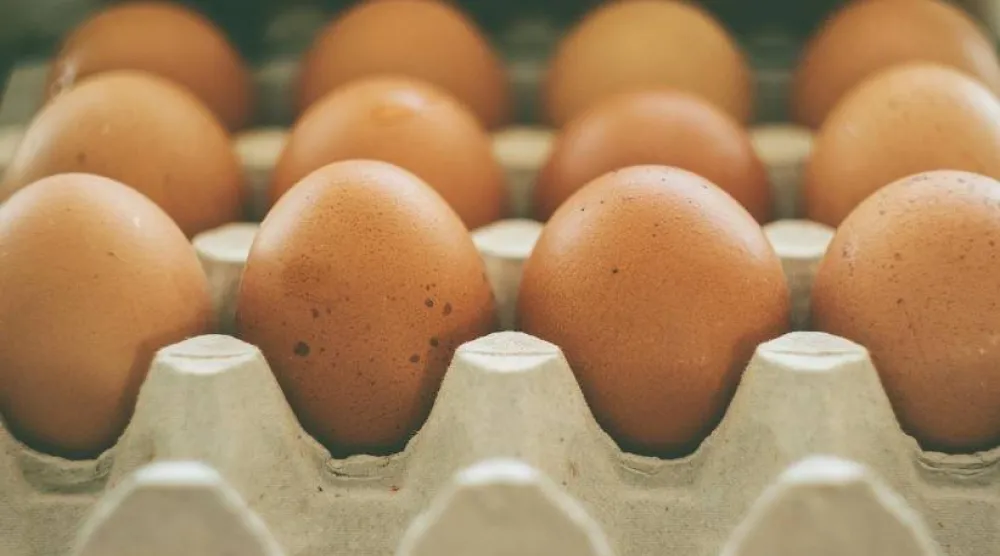 تناول كمية معتدلة من البيض يقلّل من خطر الوفاة المرتبطة بأمراض القلب والأوعية الدموية (بكساباي)