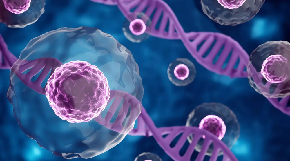 خلايا جذعية تحت المجهر