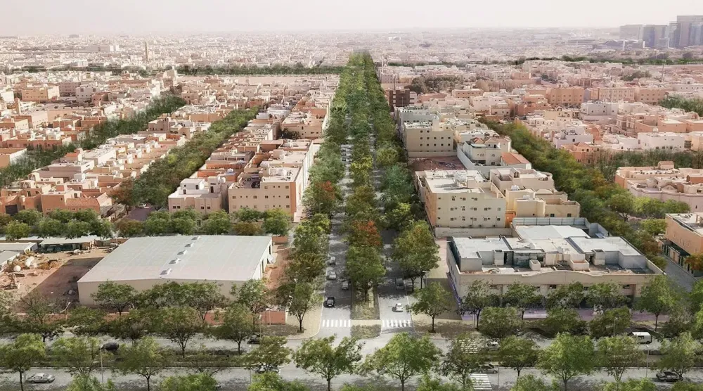 المساحة الخضراء في العاصمة السعودية الرياض (الشرق الأوسط)