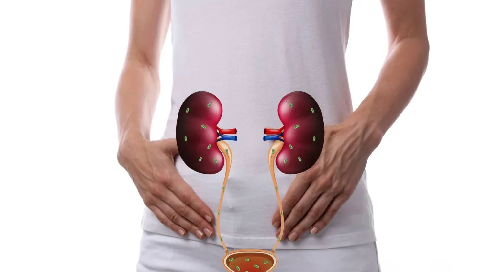 التهابات المسالك البولية تُعد من أكثر أنواع العدوى شيوعاً (أرشيفية)