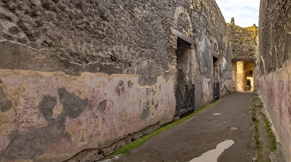 بين حجر وآخر... نجت تفاصيل الحياة من الرماد (إ.ب.أ)