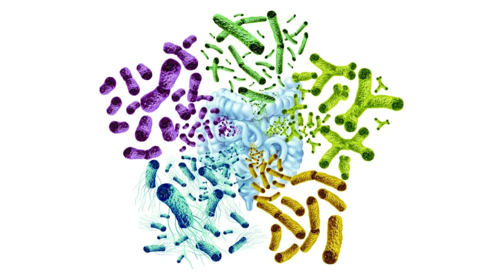 العلاجات البكتيرية الموجَّهة للأورام... أفق جديد في علاج سرطان القولون
