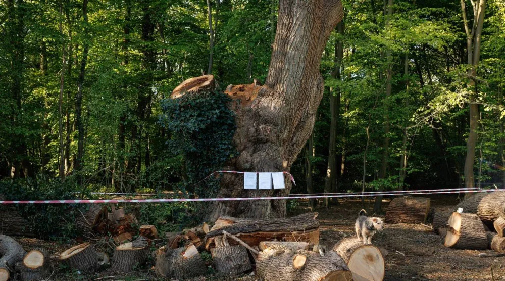 ذاكرة مكان اصطدمت بقرار (غيتي)