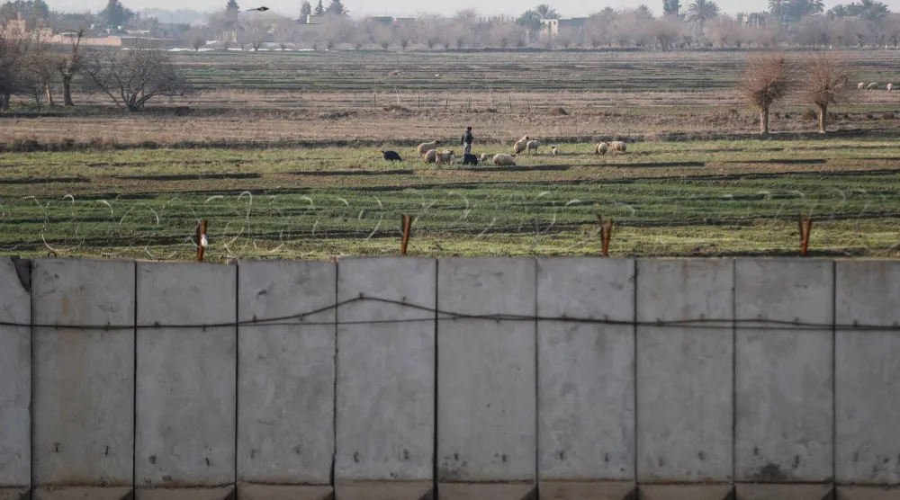 صورة التُقطت من القائم على الجانب العراقي من الحدود مع سوريا تُظهر راعياً سورياً يُراقب أغنامه وهي ترعى في حقول قرب جدار خرساني (أ.ف.ب)