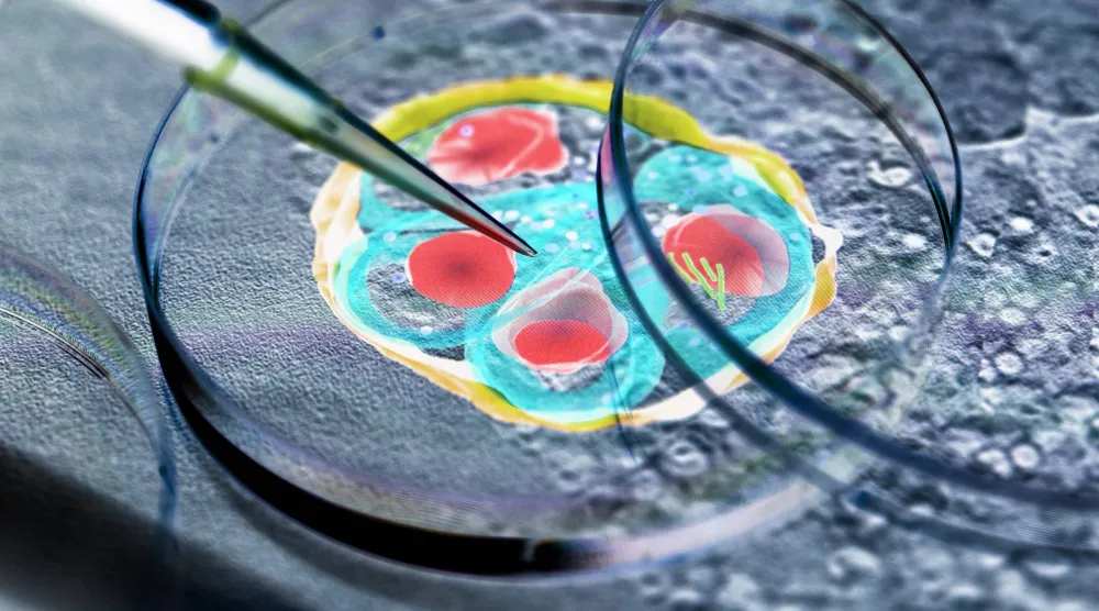 دراسة طفيلي الملاريا داخل المختبر