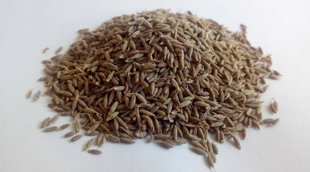 للكَمُّون فوائد صحية مذهلة تجعله إضافة قيِّمة لنظامك الغذائي (بكساباي)